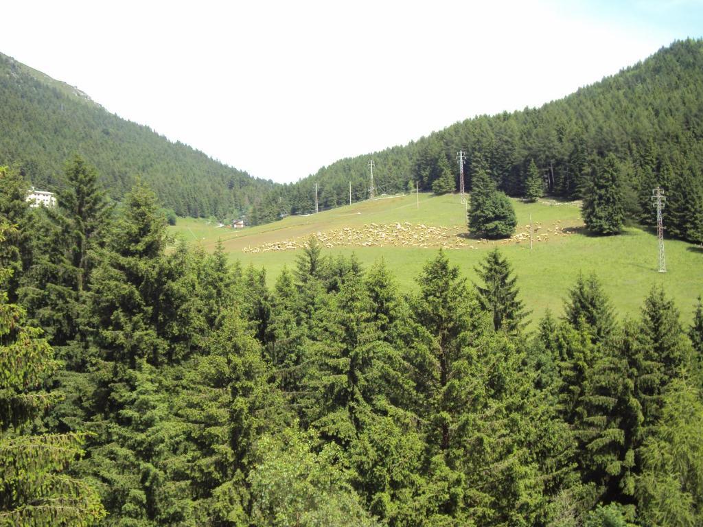 Hotel Des Alpes Castione della Presolana Rom bilde