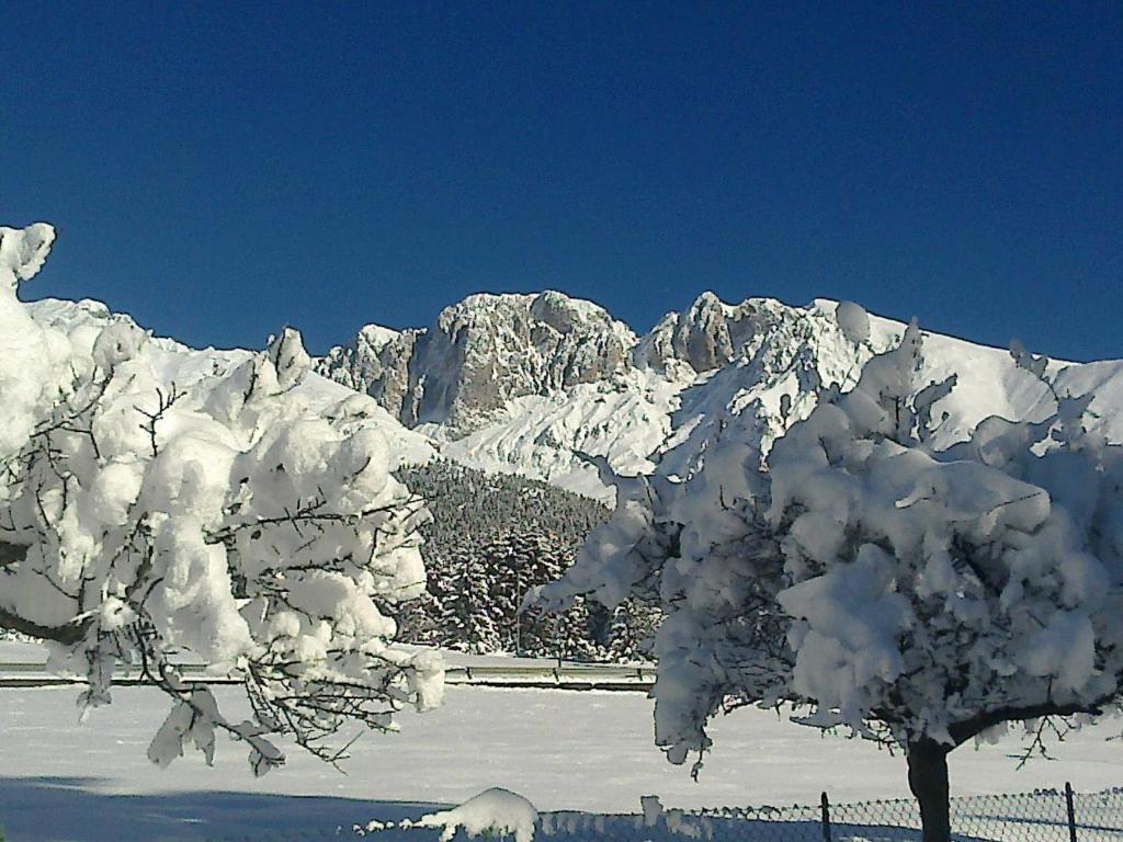 Hotel Des Alpes Castione della Presolana Eksteriør bilde