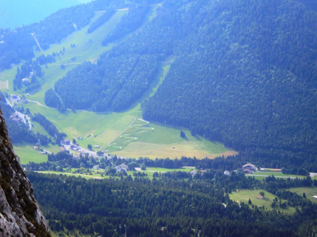 Hotel Des Alpes Castione della Presolana Eksteriør bilde