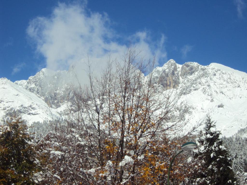 Hotel Des Alpes Castione della Presolana Rom bilde