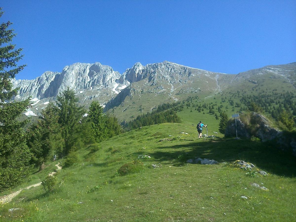 Hotel Des Alpes Castione della Presolana Eksteriør bilde